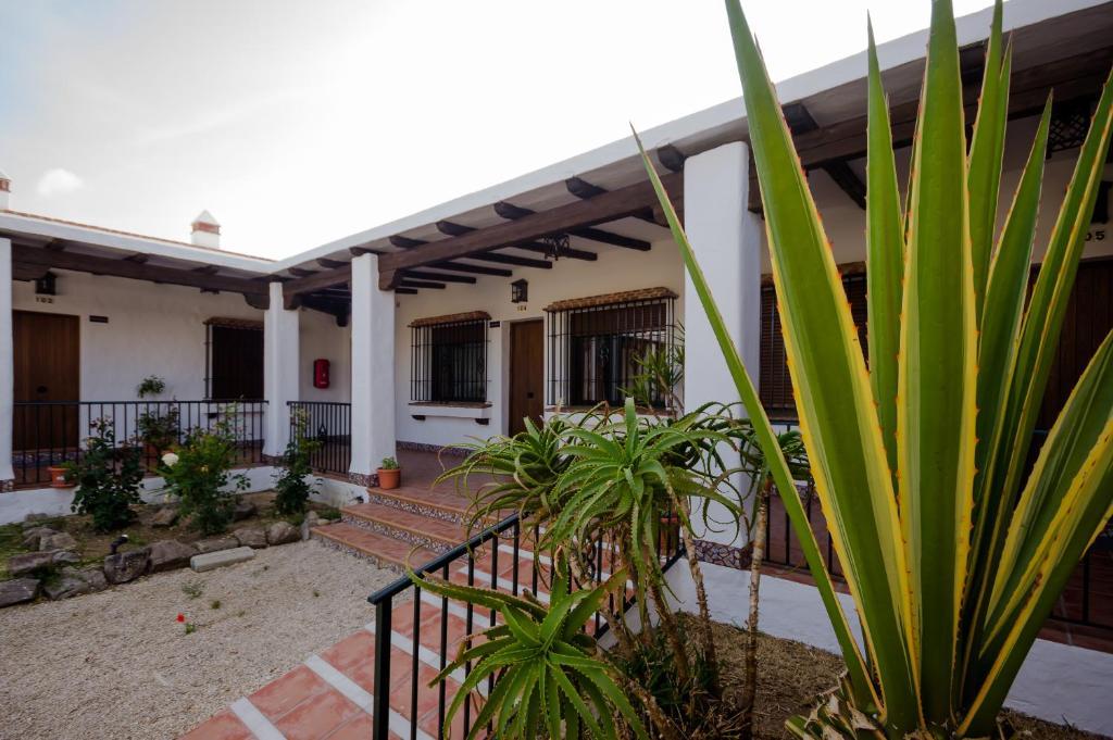 Appartamento Hacienda Puerto Conil Conil De La Frontera Esterno foto